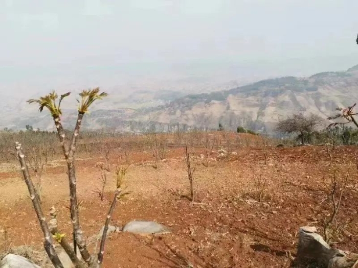 微信图片_20230328101756